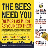Donate To Friends of Earth to Save Bees.
