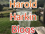 Harold Harkin Blogs