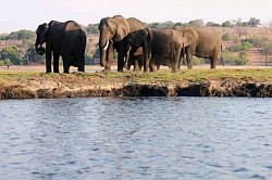 Okavango Delta, Botswana Safari Photos