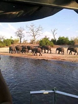 Okavango Delta, Botswana Safari Photos