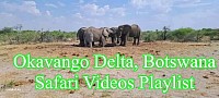 Okavango Delta, Botswana Safari Videos Playlist