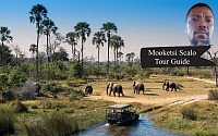 Mooketsi Scalo Tour Guide