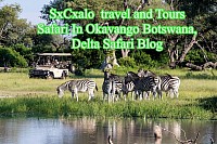 SxCxalo  travel and Tours Safari In Okavango Botswana, Delta Safari Blog